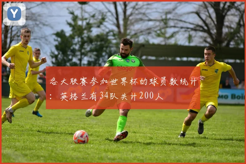 各大联赛参加世界杯的球员数统计：英格兰有34队共计200人